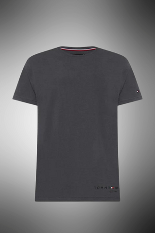 T-Shirt Grigio  Tommy Hilfiger