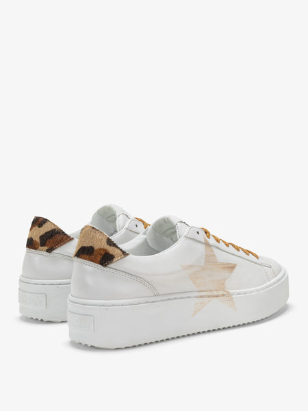 Sneakers Cosmopolitan Africa - Stella Gold