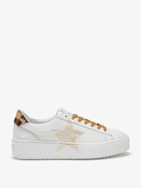 Sneakers Cosmopolitan Africa - Stella Gold