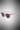 Occhiali Da Sole A Farfalla Sexy Eye Chiara Ferragni Rosa Trasparente Con Glitter E Lenti Grigie